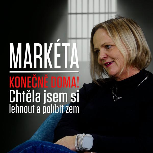 Motýl za katrem